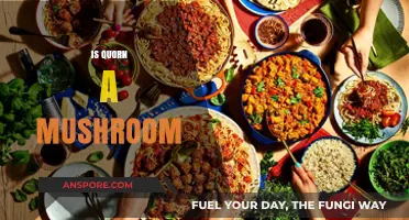 Quorn: Mushroom Mystery Solved