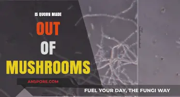 Is Quorn Made from Mushrooms? Unraveling the Mycoprotein Mystery