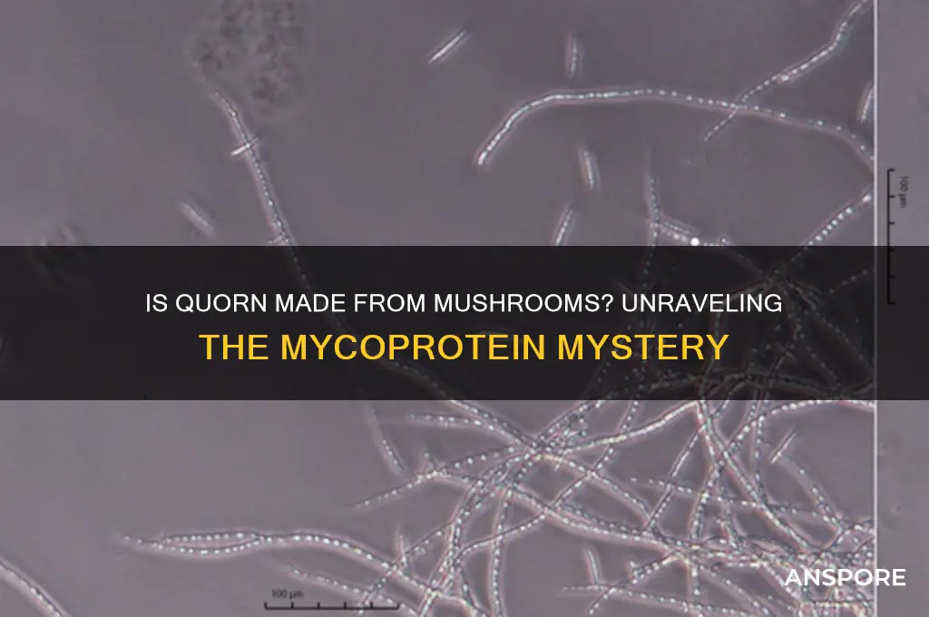 is quorn made out of mushrooms