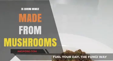 Is Quorn Mince Made from Mushrooms? Unraveling the Mystery