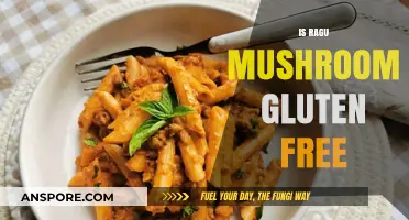Gluten-Free Ragu Mushroom: Is It Possible?
