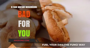 Raw Shiitake Mushrooms: Health Risks and Safe Consumption Tips