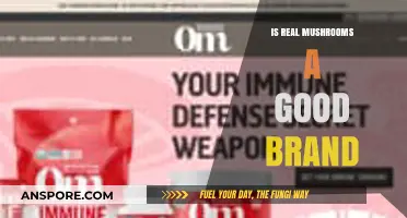 Is Real Mushrooms a Good Brand? A Comprehensive Review and Analysis