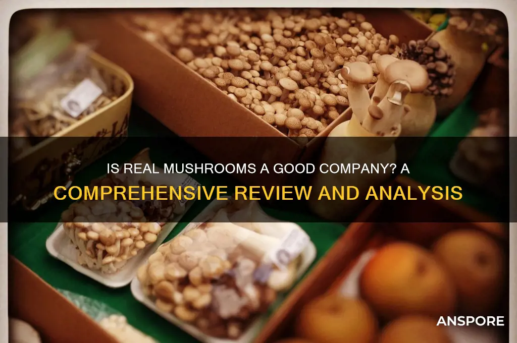 is real mushrooms a good company