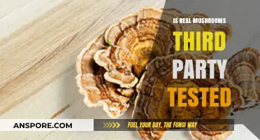 Are Real Mushrooms Third-Party Tested? Ensuring Quality and Safety