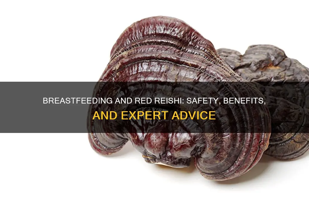 is red reishi mushroom ok during breastfeeding
