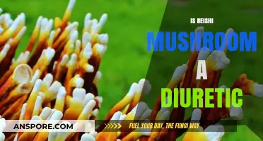 Reishi Mushrooms: Natural Diuretic or Myth?