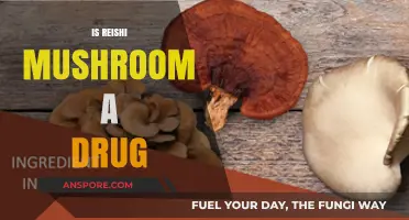 Reishi Mushrooms: Medicine or Myth?