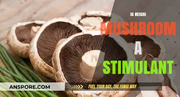 Reishi Mushrooms: Stimulant or Relaxant?