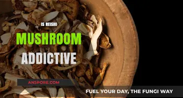 Reishi Mushroom Addiction: Fact or Fiction?