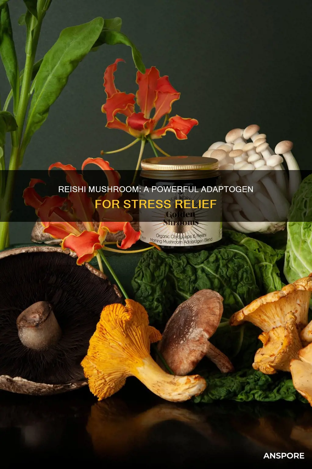 is reishi mushroom an adaptogen