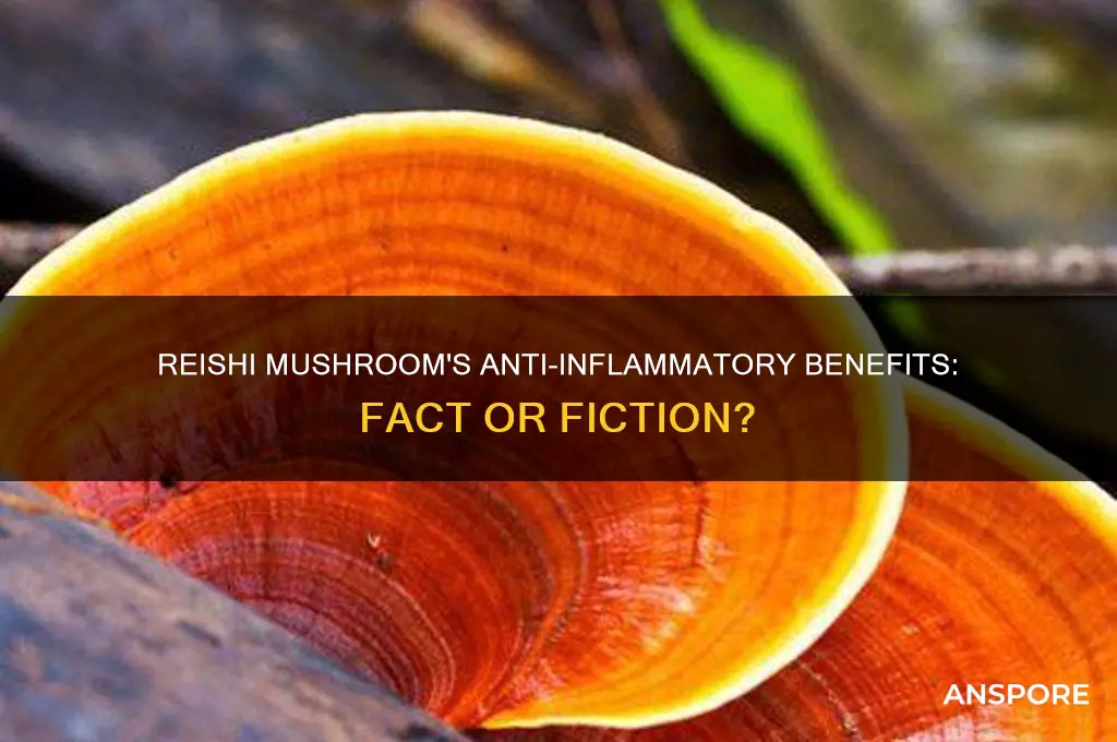 is reishi mushroom an anti inflammatory