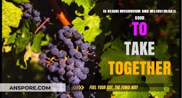 Reishi Mushroom and Methotrexate: Safe Combination or Risky Mix?