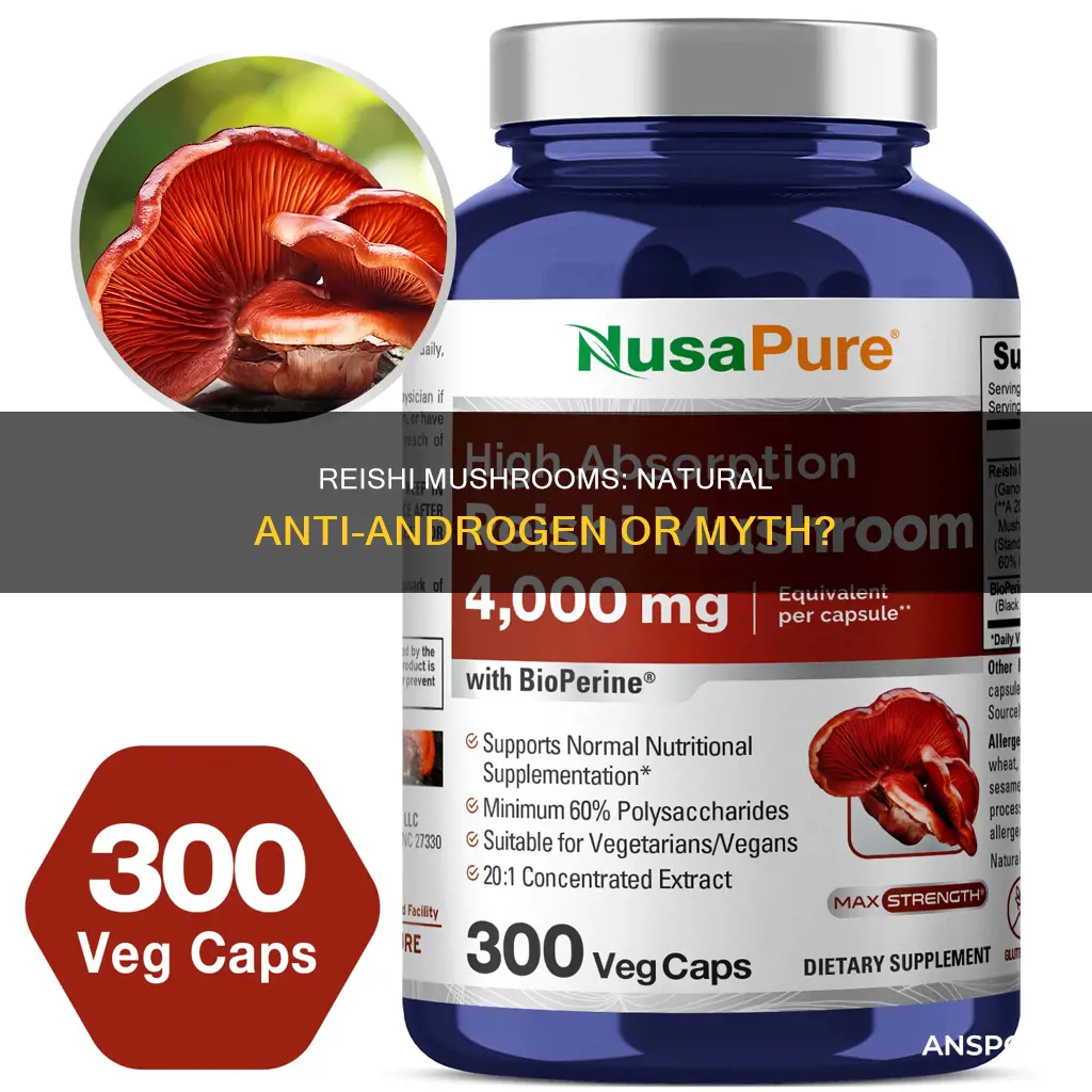 is reishi mushroom anti androgen