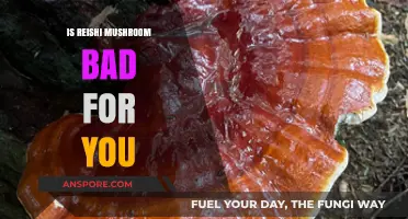 Is Reishi Mushroom Safe? Potential Risks and Side Effects Explained