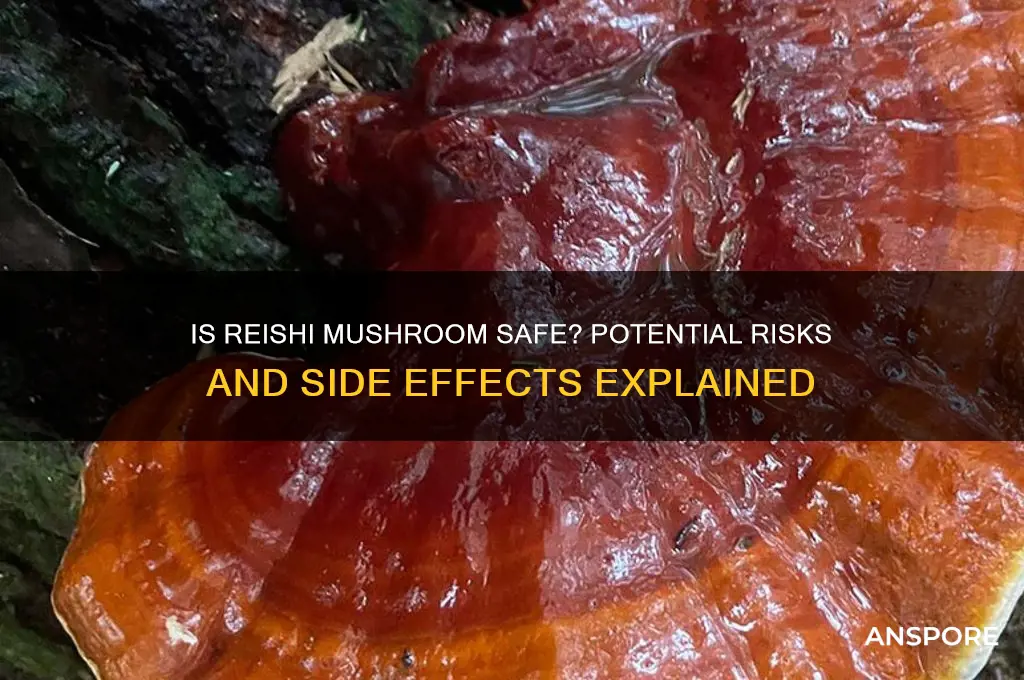 is reishi mushroom bad for you