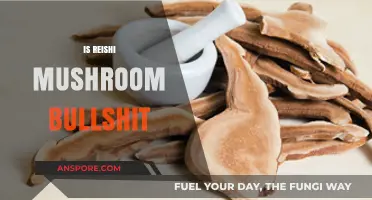 Reishi Mushrooms: Are They a Scam or Superfood?