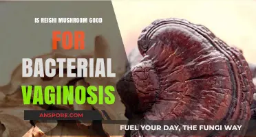 Reishi Mushroom Benefits: A Natural Remedy for Bacterial Vaginosis?