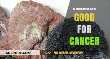 Reishi Mushroom Benefits: Potential Cancer-Fighting Properties Explored