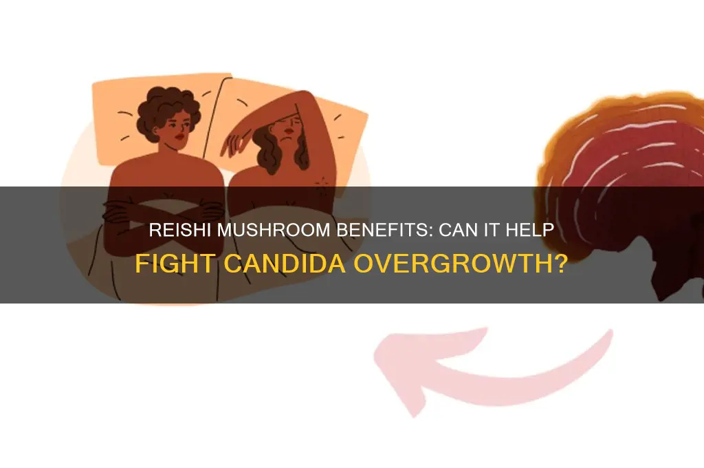 is reishi mushroom good for candida