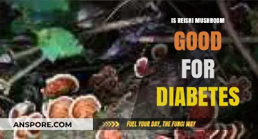 Reishi Mushroom Benefits: Can It Help Manage Diabetes Symptoms?
