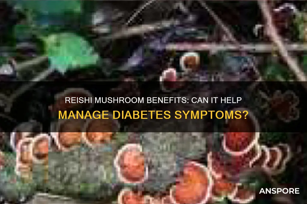 is reishi mushroom good for diabetes