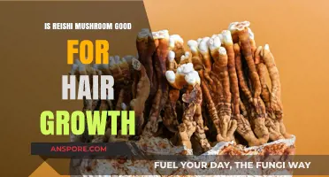 Reishi Mushroom Benefits: Can It Boost Hair Growth Naturally?