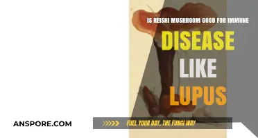 Reishi Mushroom Benefits: Can It Aid Lupus and Immune Disorders?