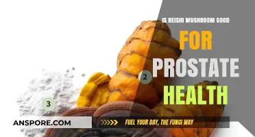 Reishi Mushroom Benefits: Supporting Prostate Health Naturally Explained