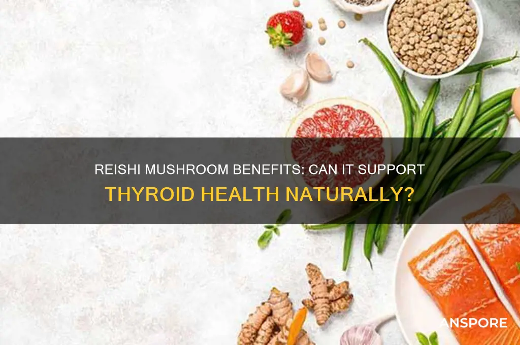 is reishi mushroom good for thyroid