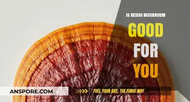 Reishi Mushroom Benefits: Unlocking Wellness and Health Potential Naturally