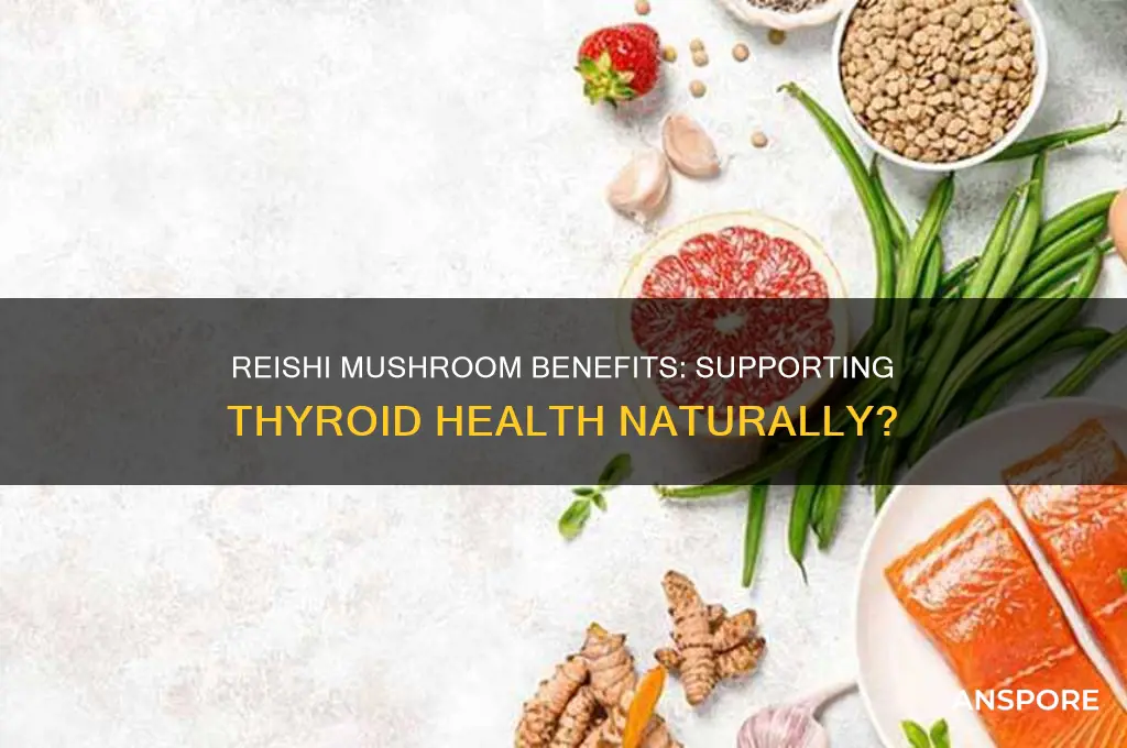 is reishi mushroom good for your thryoid