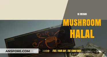 Reishi Mushrooms: Halal or Haram?