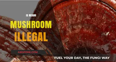 Reishi Mushroom: Legal or Not?