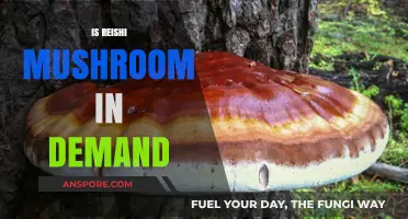 Reishi Mushroom: A Rising Demand for Wellness