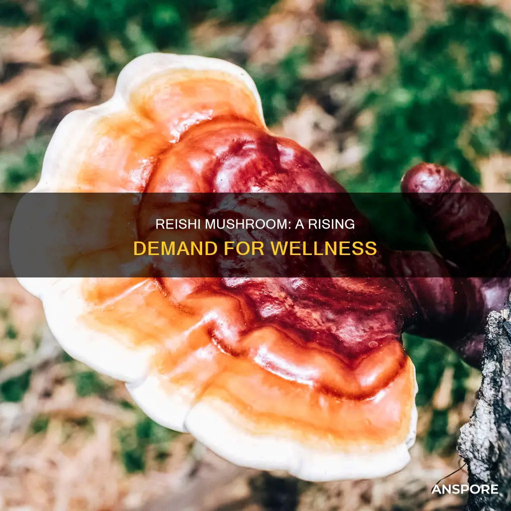 is reishi mushroom in demand