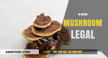 Is Reishi Mushroom Legal? Exploring Its Legal Status Worldwide