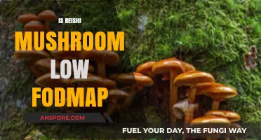 Reishi Mushrooms: A Low-FODMAP Superfood?