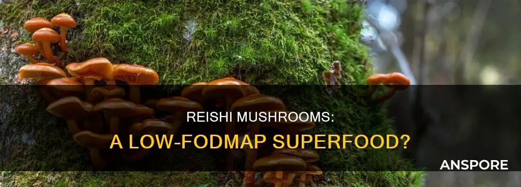 is reishi mushroom low fodmap
