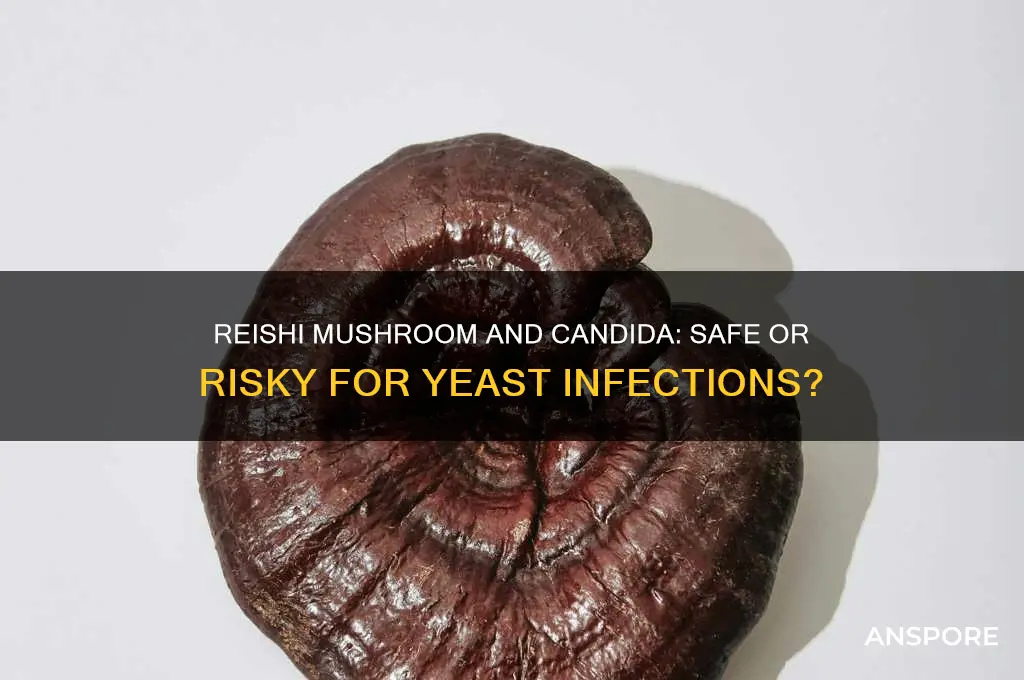 is reishi mushroom ok when having yeast infection candida