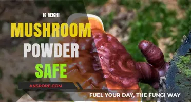 Reishi Mushroom Powder: Is It Safe to Consume?