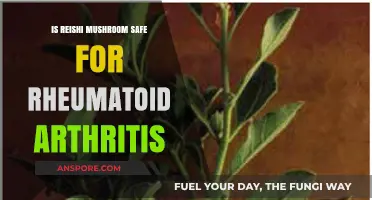 Reishi Mushroom Safety for Rheumatoid Arthritis: Benefits and Risks Explored