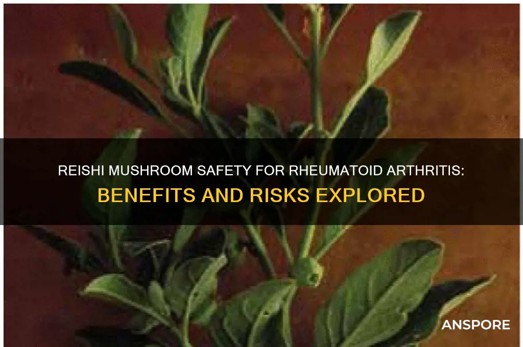 is reishi mushroom safe for rheumatoid arthritis