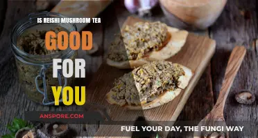 Reishi Mushroom Tea Benefits: Health Boost or Hype?