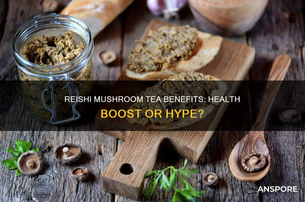 is reishi mushroom tea good for you