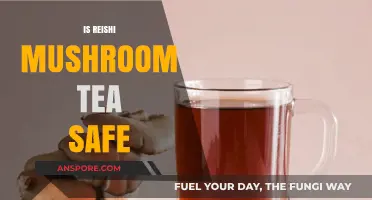 Reishi Mushroom Tea: Safe Super Drink?