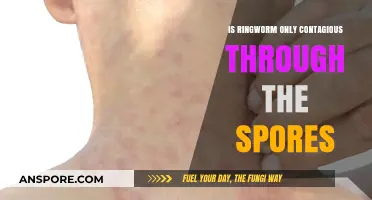 Ringworm Contagion: Beyond Spores, How It Spreads and Prevention Tips