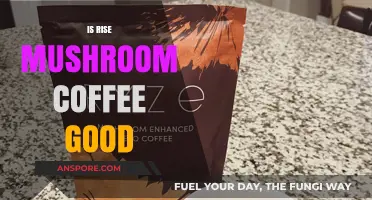 Is Rise Mushroom Coffee Worth the Hype? A Detailed Review