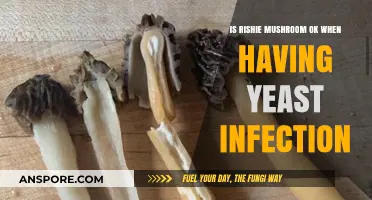 Can You Eat Rishie Mushrooms with a Yeast Infection? Find Out
