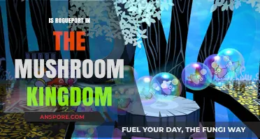 Is Rogueport Part of the Mushroom Kingdom? Exploring the Connection